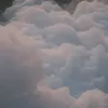 hoa._12
