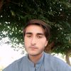 shairkhan8651