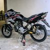 tiger_hitammanis