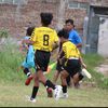 ale_bocahim