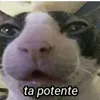 admin_de_la_frescura