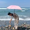 irwandi_423