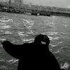 zy__asa