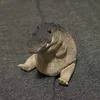 wspxtjk
