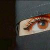 fa__al202