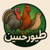 hocinebird