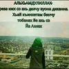 chechenkaa24