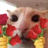 leen_rw