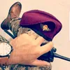 tomking6778