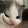 user7oysk0ecin