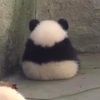 hkdbhkhskdjdksk
