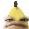 xsams_s
