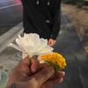 dontmention_anto