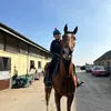 xequestrian_libbyx