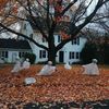 🎃🎃