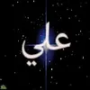 hassanflow30