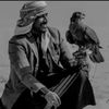 diab11338
