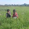 user00112233445o