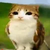 nicolezinha_06