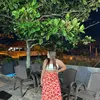 karolinacordini2