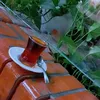 zozaty890