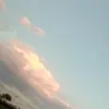 _shn19