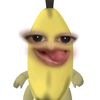 fifhprmsti_