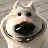 hongbik10