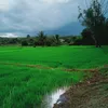 nurinajwa_276