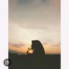 burgundy_91