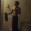 perrito