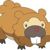 lvl.13_bidoof