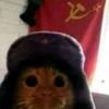 kfcposting