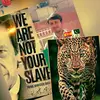 hussainsyyed01