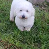 florettelamour