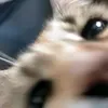 fluffynouuu