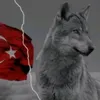 yanliz3774