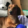 missisrysacova