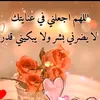 user202514659