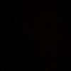 ollie_schier_