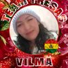 vilmita1984