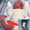 notbombastic