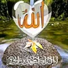 user070144031
