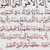 dy6fxrt9dp7l