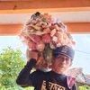 mangujukokekcijawa