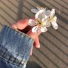 fatimamustafa122