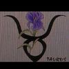 mrbigdboss56