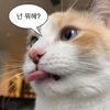 n__t.ly