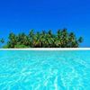 islander696