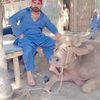 tahirqureshi685